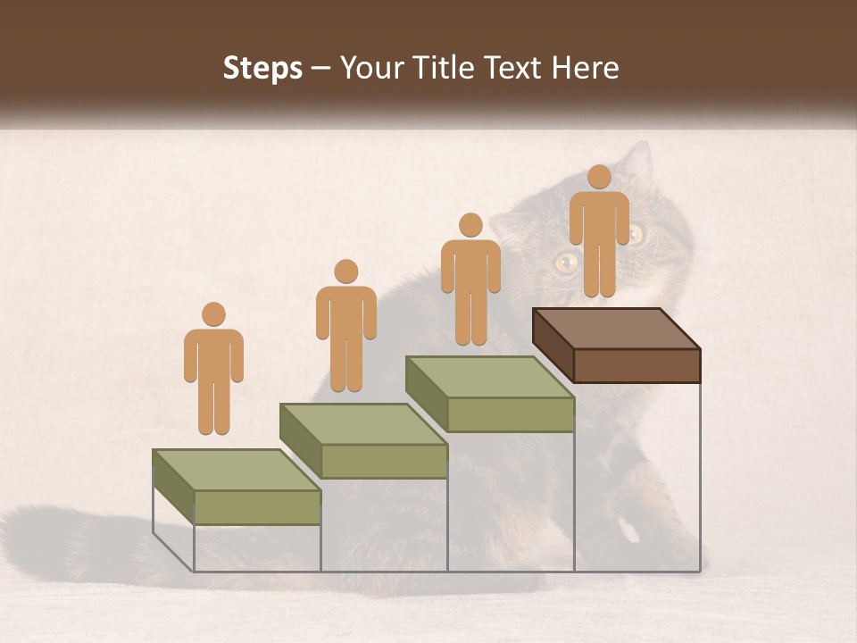 Puss Feline Furry PowerPoint Template