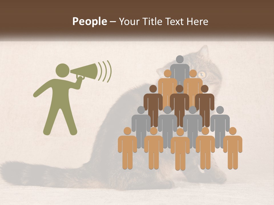 Puss Feline Furry PowerPoint Template