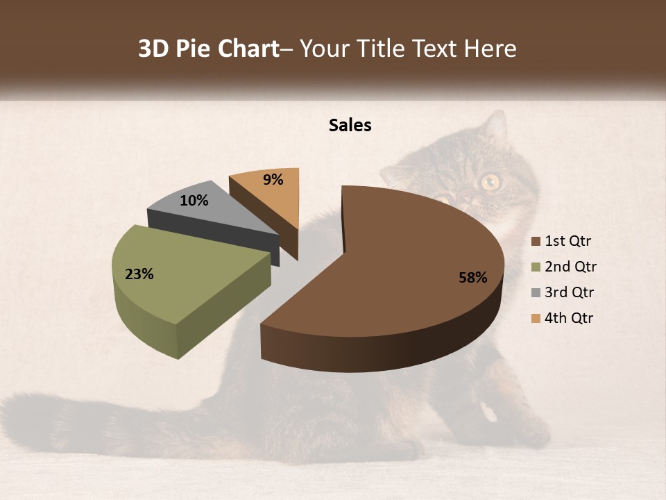 Puss Feline Furry PowerPoint Template