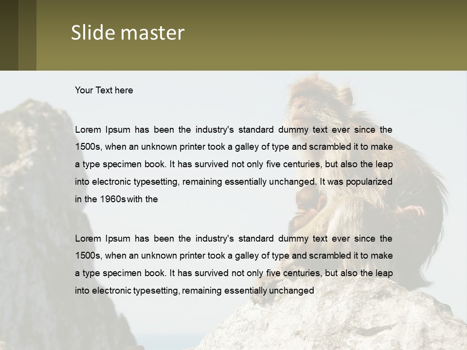 Macaca Sylvana Family Tree Evolution PowerPoint Template