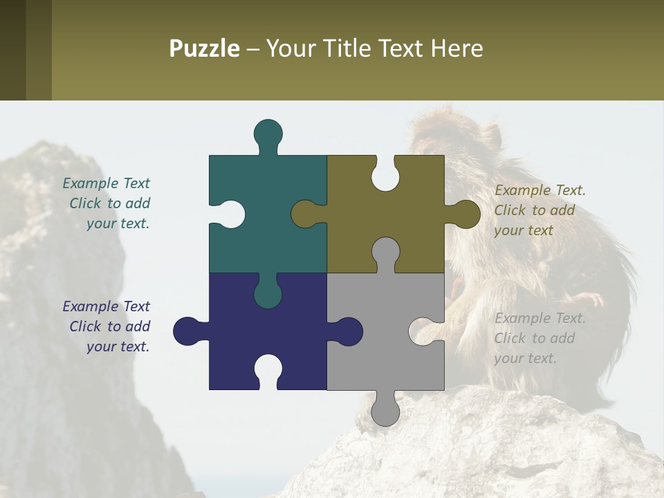 Macaca Sylvana Family Tree Evolution PowerPoint Template