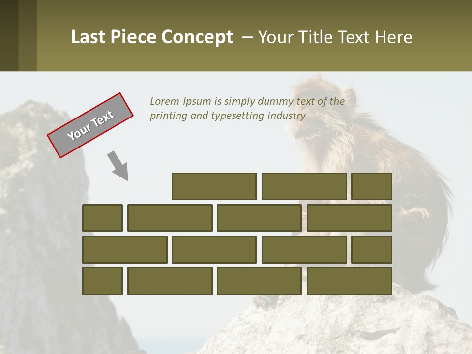 Macaca Sylvana Family Tree Evolution PowerPoint Template