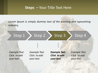 Macaca Sylvana Family Tree Evolution PowerPoint Template