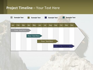 Macaca Sylvana Family Tree Evolution PowerPoint Template