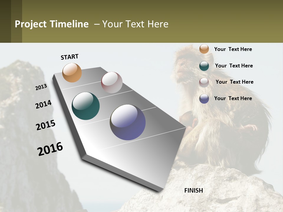 Macaca Sylvana Family Tree Evolution PowerPoint Template