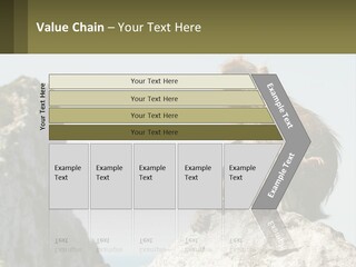 Macaca Sylvana Family Tree Evolution PowerPoint Template