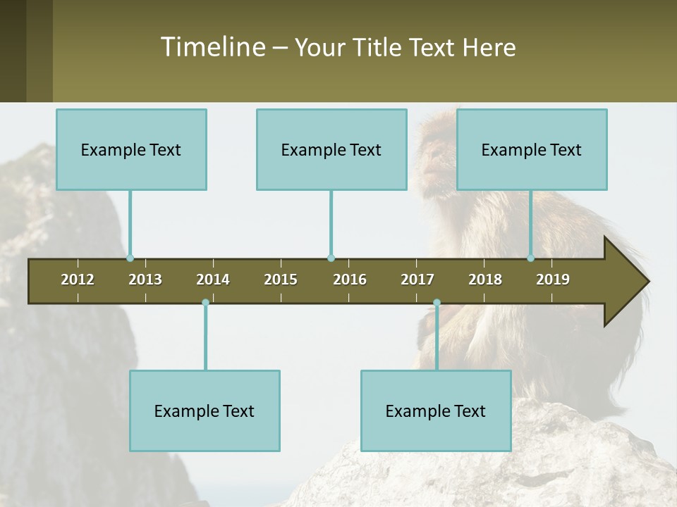 Macaca Sylvana Family Tree Evolution PowerPoint Template