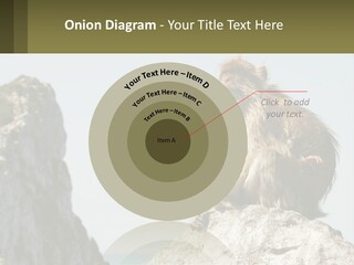 Macaca Sylvana Family Tree Evolution PowerPoint Template