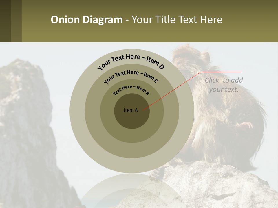 Macaca Sylvana Family Tree Evolution PowerPoint Template