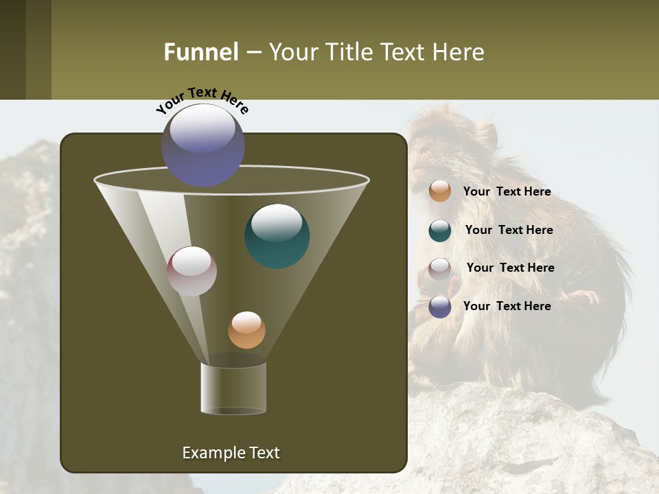 Macaca Sylvana Family Tree Evolution PowerPoint Template