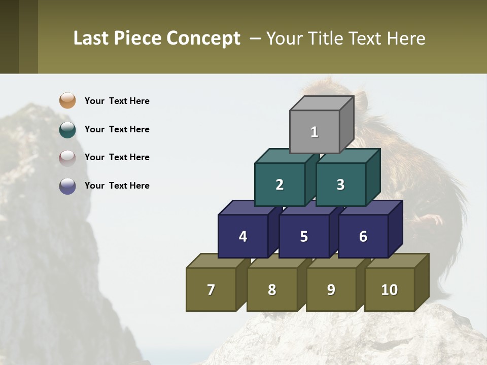 Macaca Sylvana Family Tree Evolution PowerPoint Template
