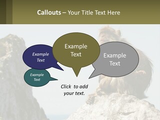 Macaca Sylvana Family Tree Evolution PowerPoint Template