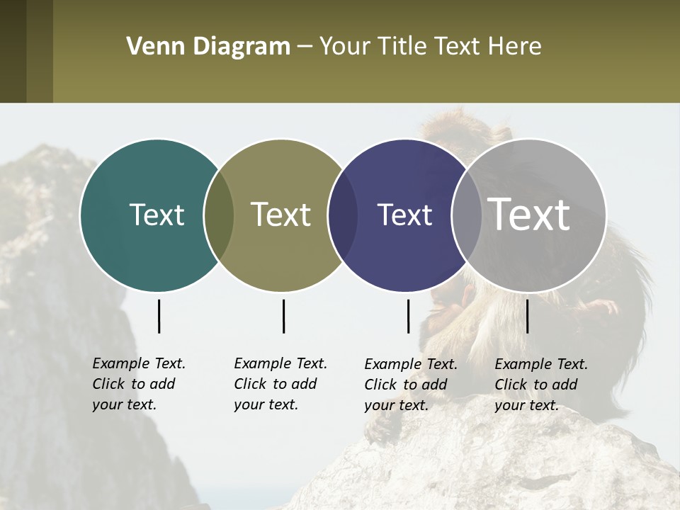 Macaca Sylvana Family Tree Evolution PowerPoint Template