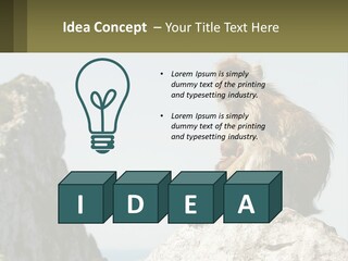 Macaca Sylvana Family Tree Evolution PowerPoint Template