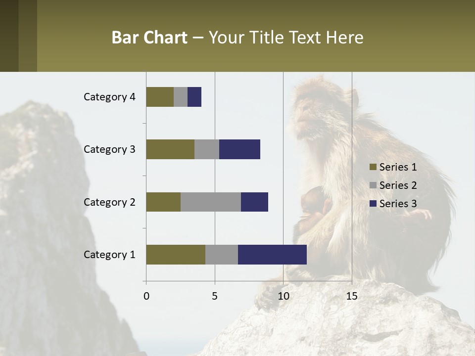 Macaca Sylvana Family Tree Evolution PowerPoint Template