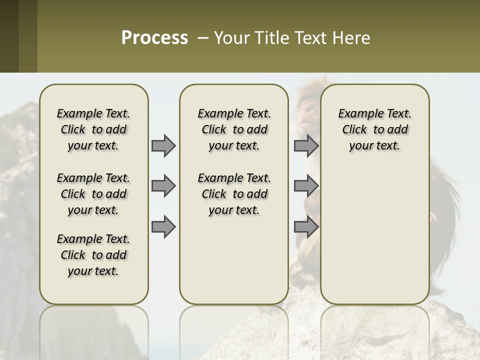 Macaca Sylvana Family Tree Evolution PowerPoint Template