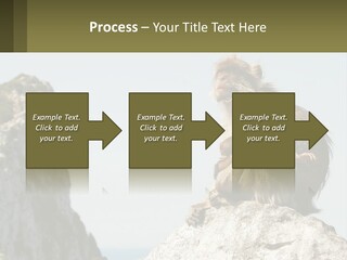 Macaca Sylvana Family Tree Evolution PowerPoint Template