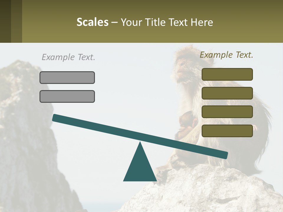 Macaca Sylvana Family Tree Evolution PowerPoint Template