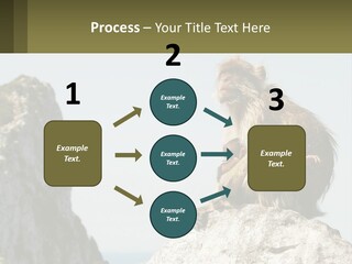 Macaca Sylvana Family Tree Evolution PowerPoint Template