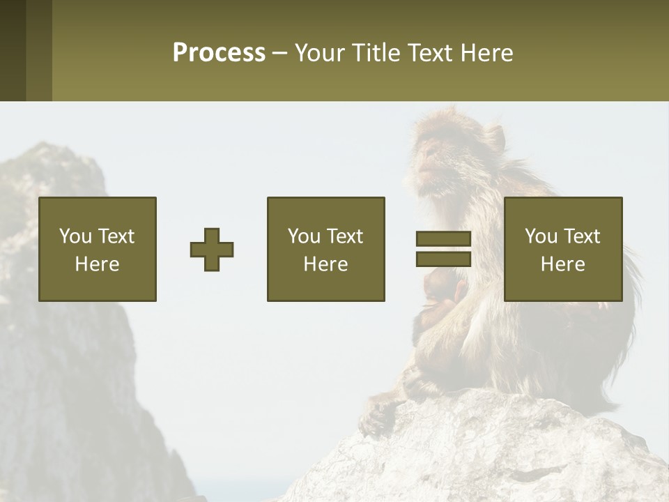 Macaca Sylvana Family Tree Evolution PowerPoint Template