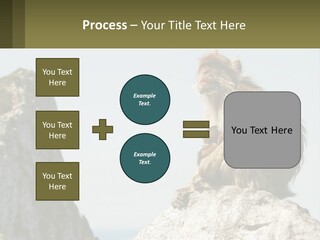 Macaca Sylvana Family Tree Evolution PowerPoint Template