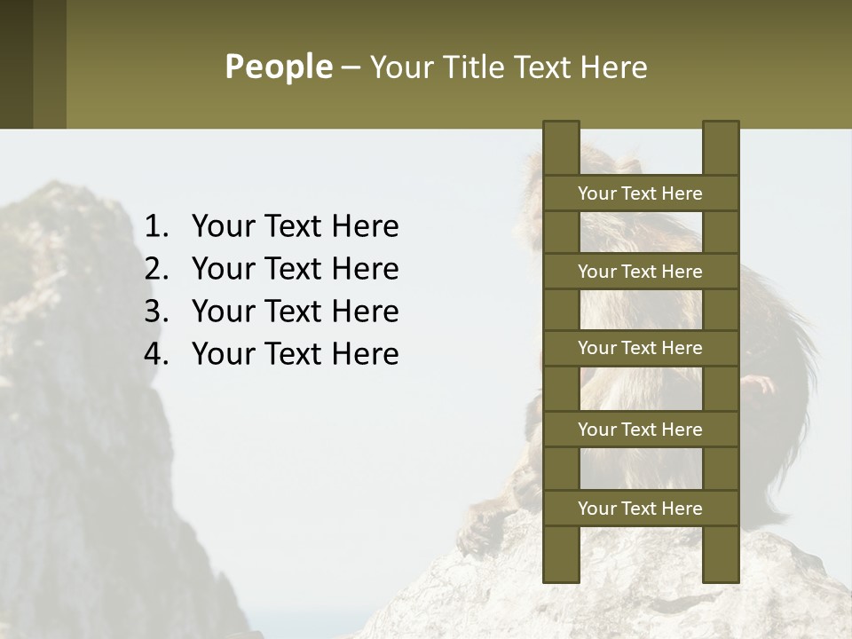 Macaca Sylvana Family Tree Evolution PowerPoint Template