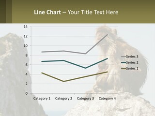 Macaca Sylvana Family Tree Evolution PowerPoint Template