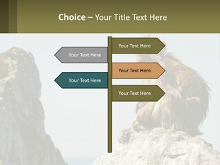Macaca Sylvana Family Tree Evolution PowerPoint Template