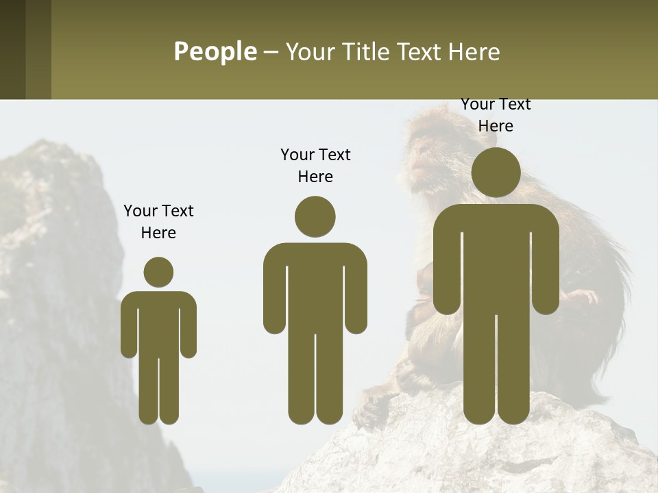 Macaca Sylvana Family Tree Evolution PowerPoint Template