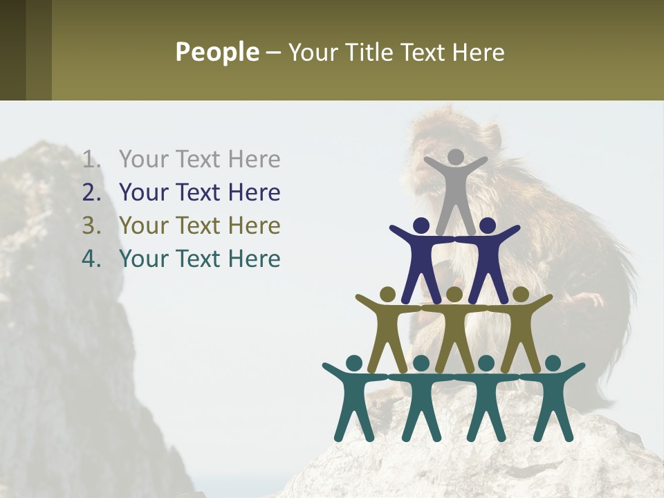 Macaca Sylvana Family Tree Evolution PowerPoint Template