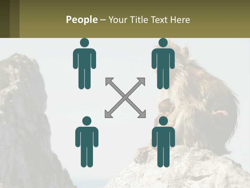 Macaca Sylvana Family Tree Evolution PowerPoint Template