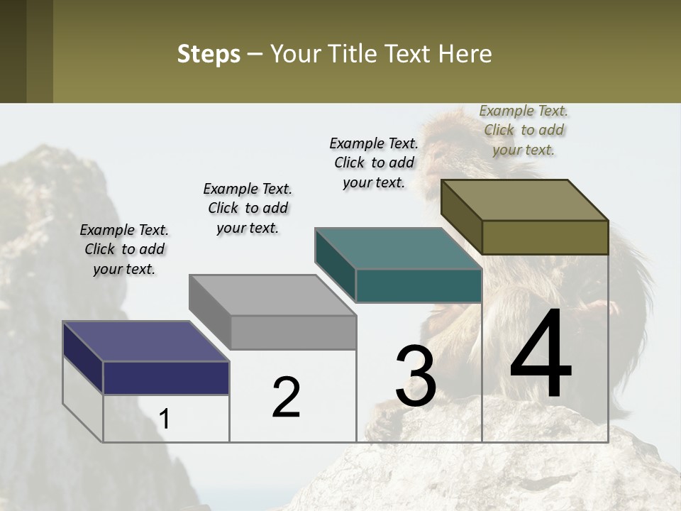 Macaca Sylvana Family Tree Evolution PowerPoint Template