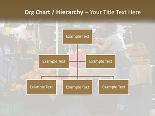 Juicy Raw Agriculture PowerPoint Template