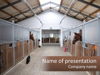 Inquisitive Domestic Equine PowerPoint Template