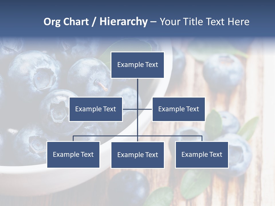 Fruit Blackberry Nature PowerPoint Template