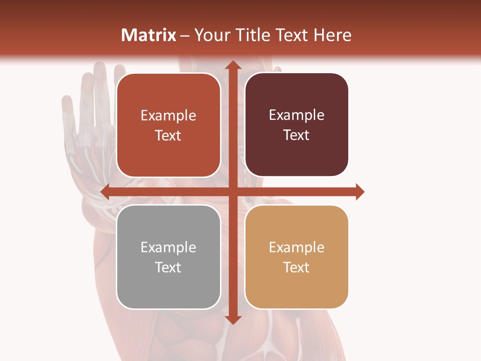 Angle Body Illustration PowerPoint Template
