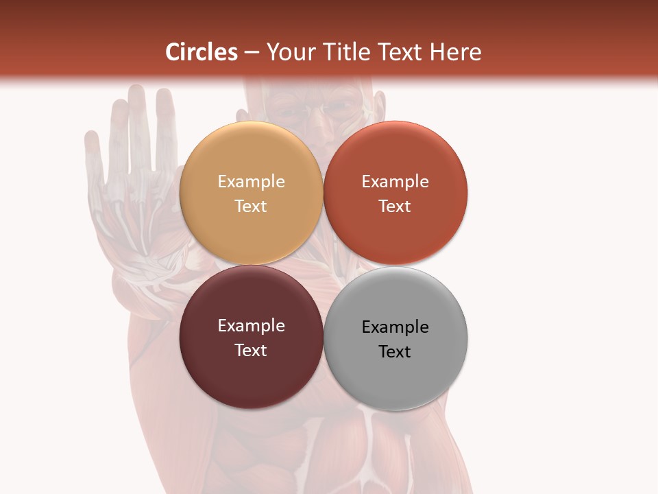 Angle Body Illustration PowerPoint Template