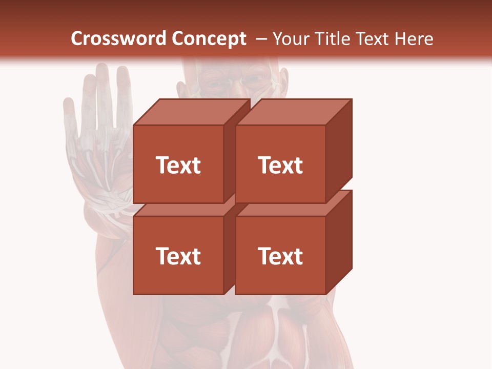 Angle Body Illustration PowerPoint Template