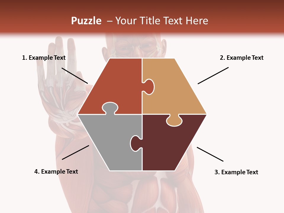 Angle Body Illustration PowerPoint Template