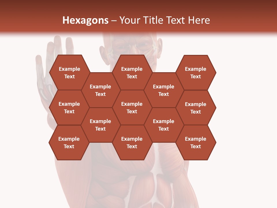 Angle Body Illustration PowerPoint Template