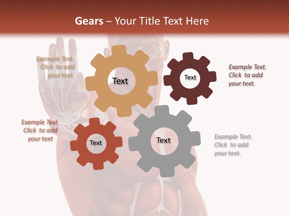 Angle Body Illustration PowerPoint Template