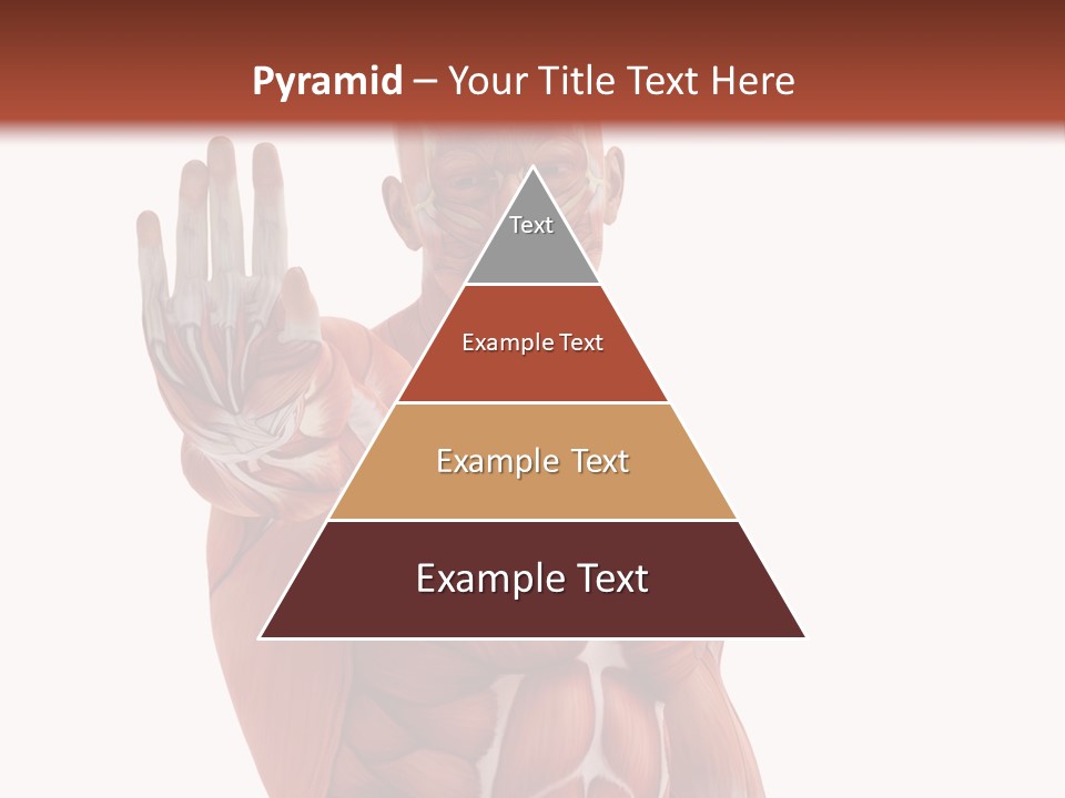 Angle Body Illustration PowerPoint Template