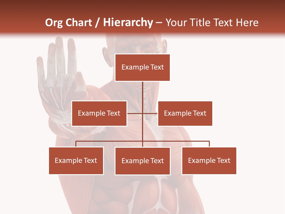 Angle Body Illustration PowerPoint Template