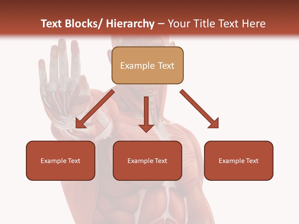 Angle Body Illustration PowerPoint Template