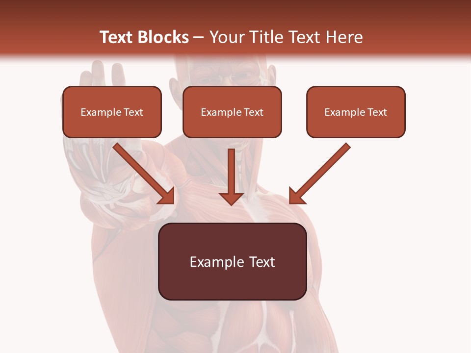 Angle Body Illustration PowerPoint Template