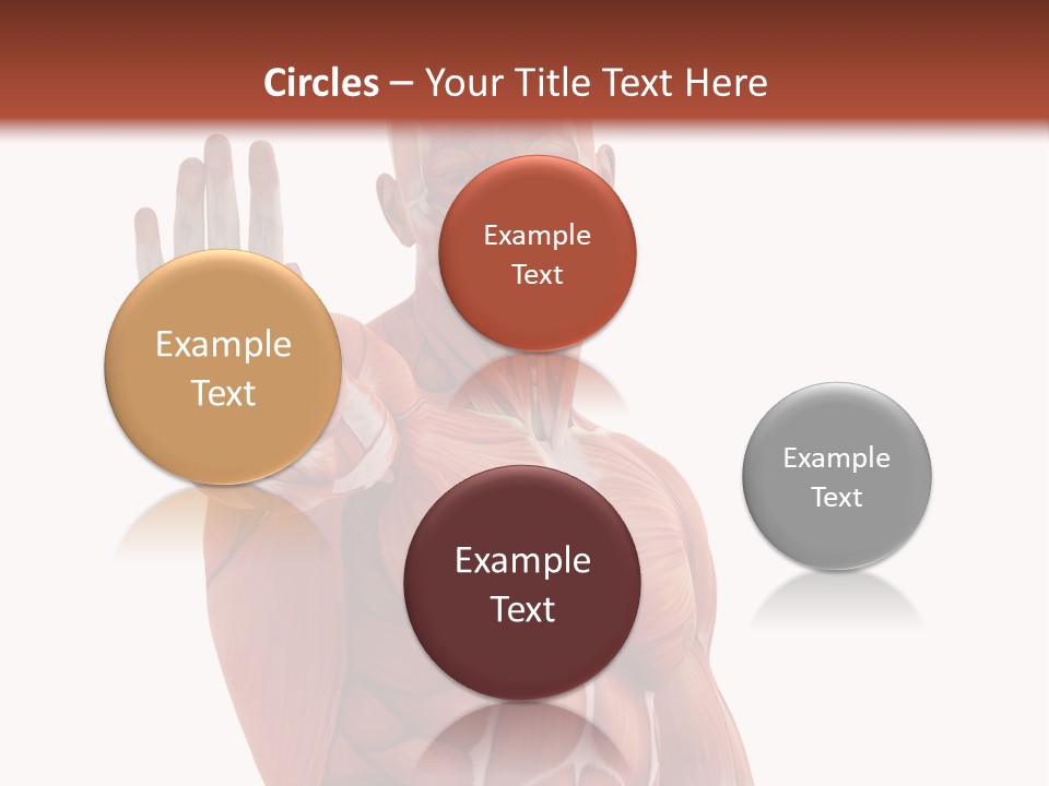 Angle Body Illustration PowerPoint Template