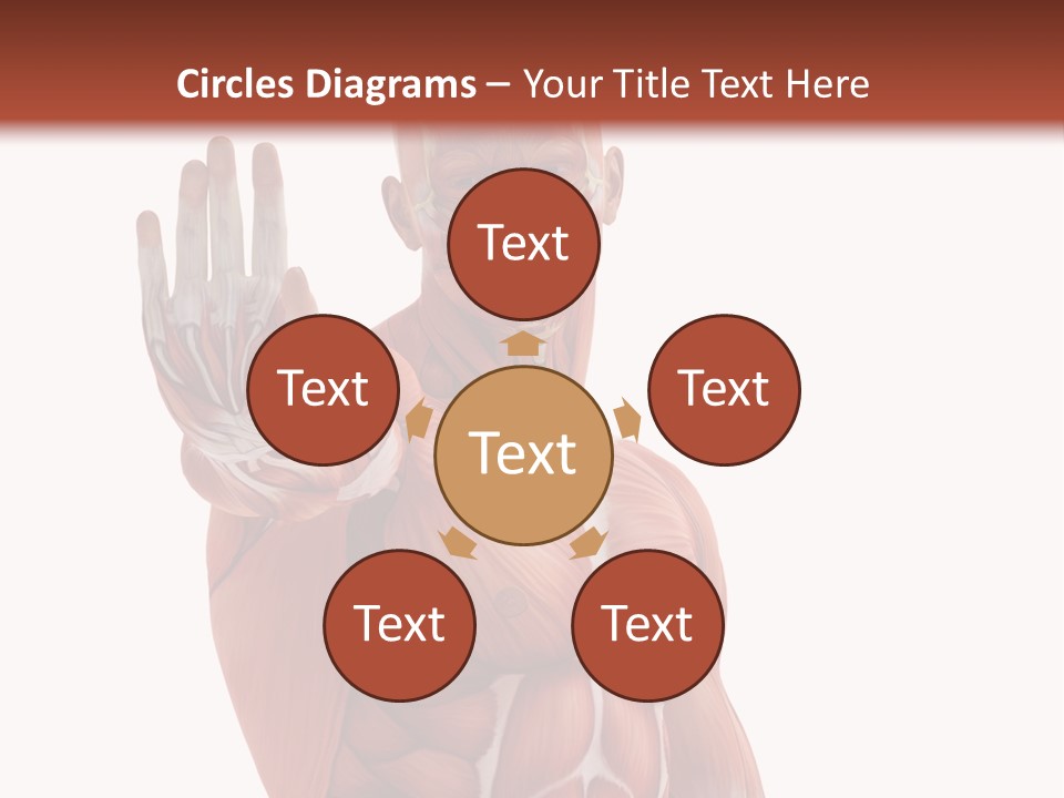 Angle Body Illustration PowerPoint Template