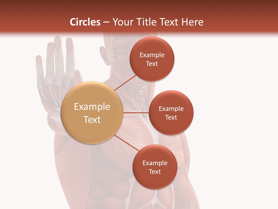 Angle Body Illustration PowerPoint Template