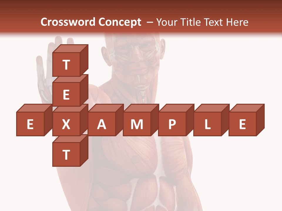 Angle Body Illustration PowerPoint Template