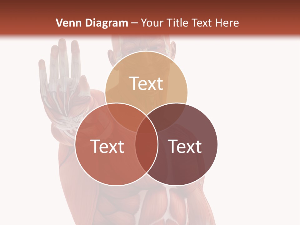 Angle Body Illustration PowerPoint Template